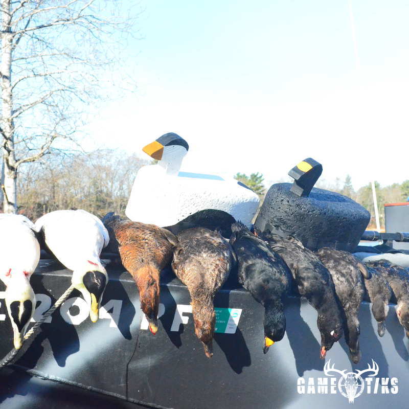 waterfowl harvest by Troy Fields, Traditions Guide Service