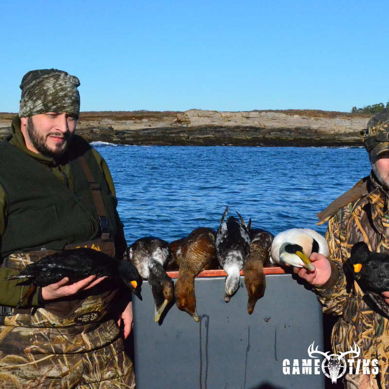 waterfowl harvest by Troy Fields, Traditions Guide Service