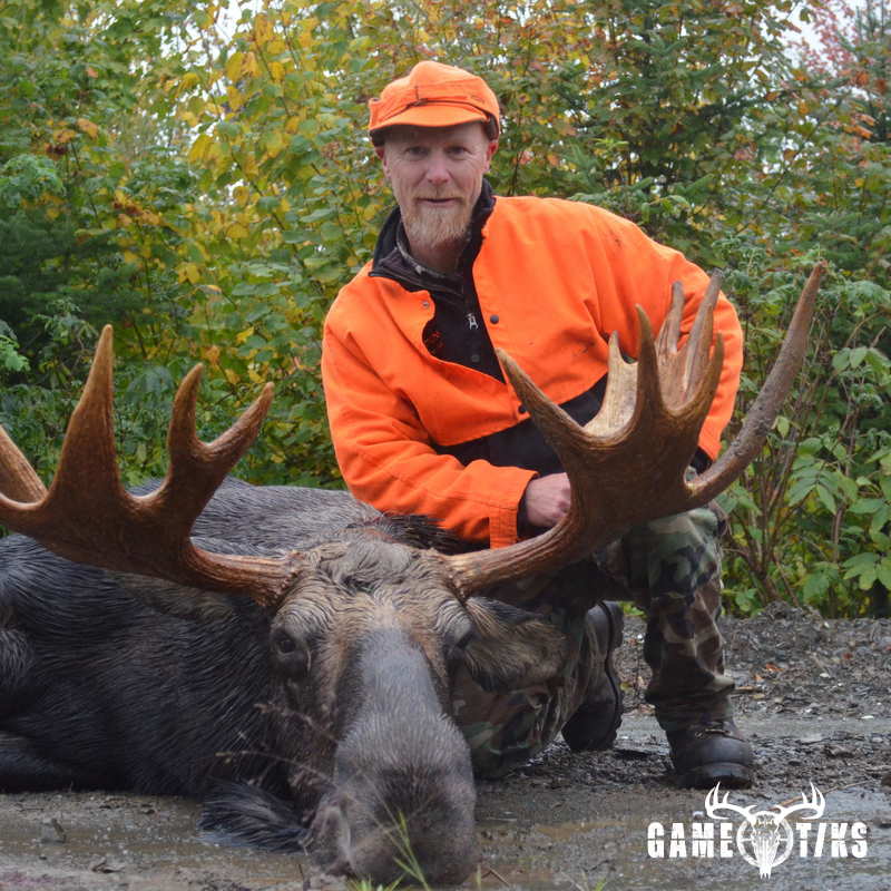 moose harvest by Troy Fields, Traditions Guide Service