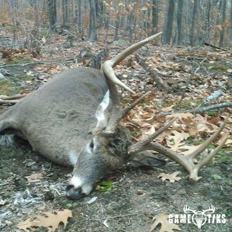 deer harvest by Troy Fields, Traditions Guide Service