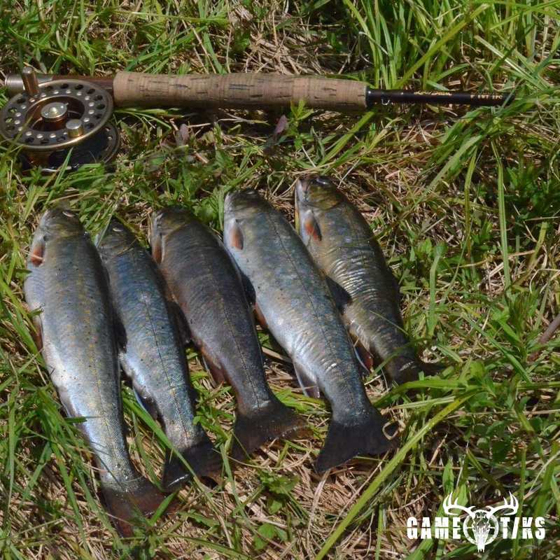 fish harvest by Troy Fields, Traditions Guide Service