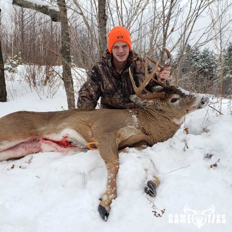 deer harvest by Jake Parish
