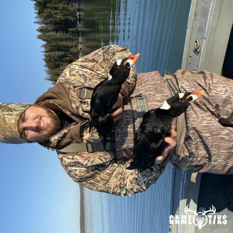 waterfowl harvest by Bold Coast Outfitters