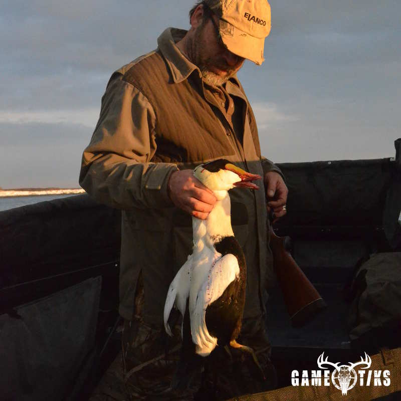 waterfowl harvest by Troy Fields, Traditions Guide Service