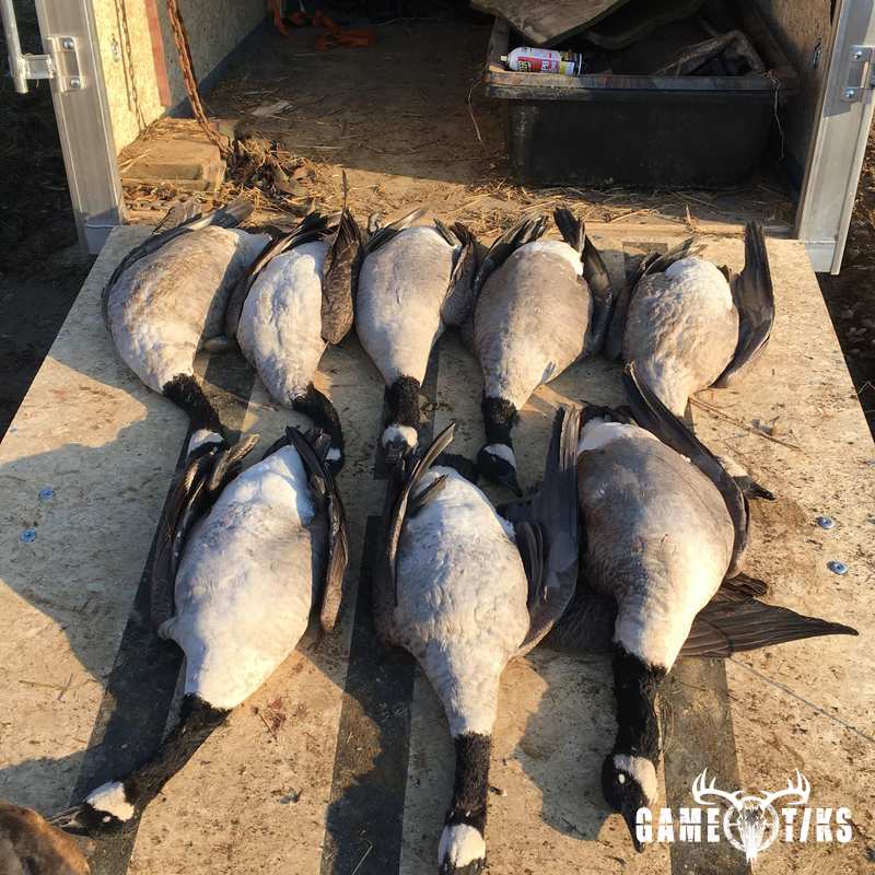 waterfowl harvest by Troy