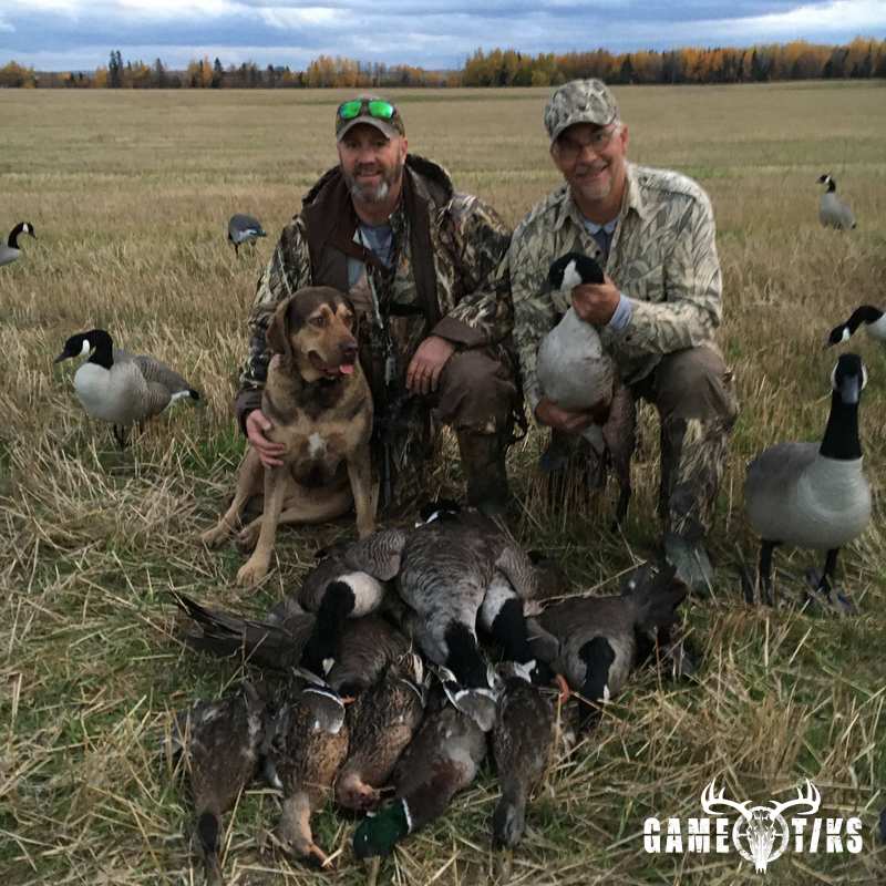 waterfowl harvest by Troy