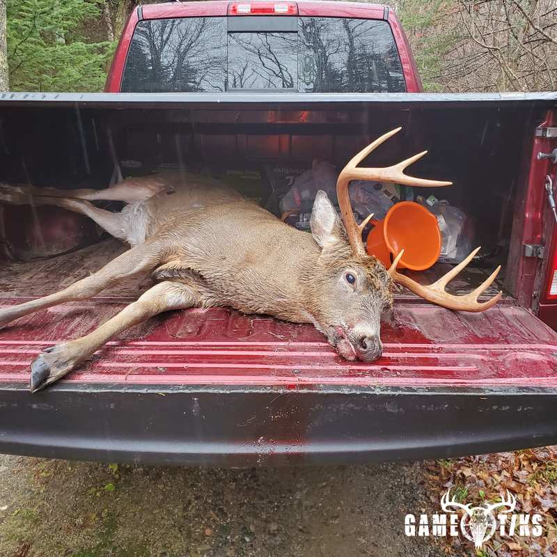 deer harvest by Jason larrabee