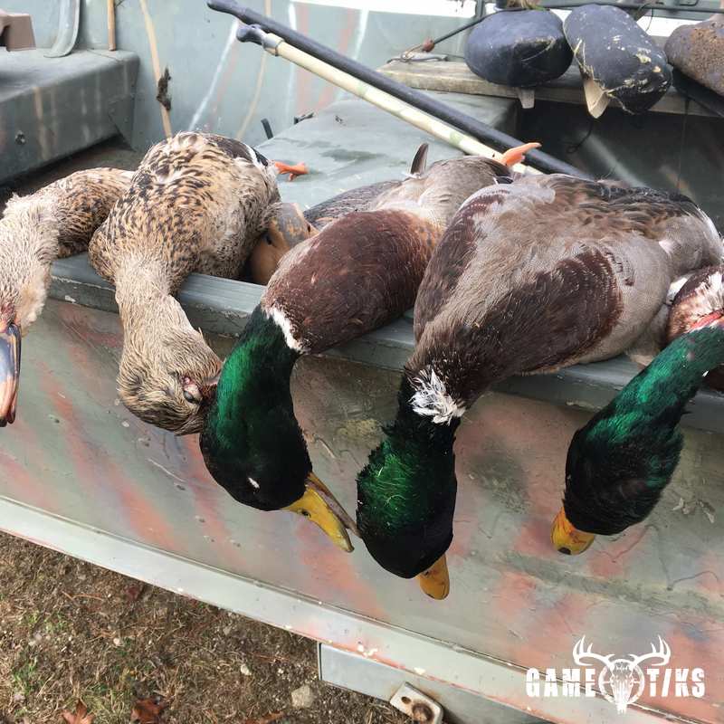 waterfowl harvest by Troy