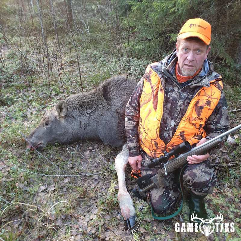 moose harvest by Isto Ojala