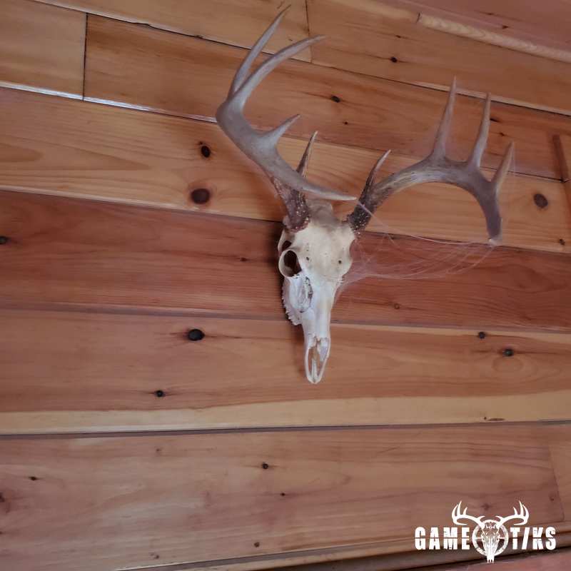 deer harvest by Jason larrabee