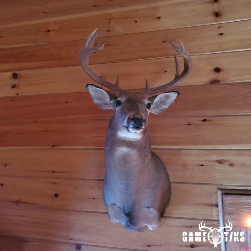 deer harvest by Jason larrabee