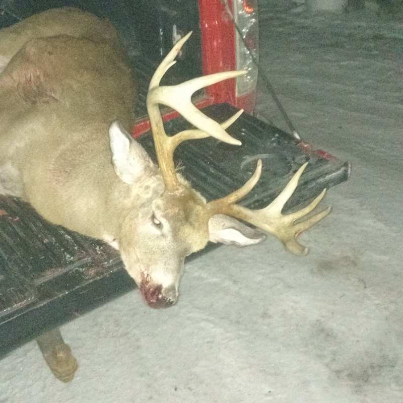deer harvest by Sam Ray
