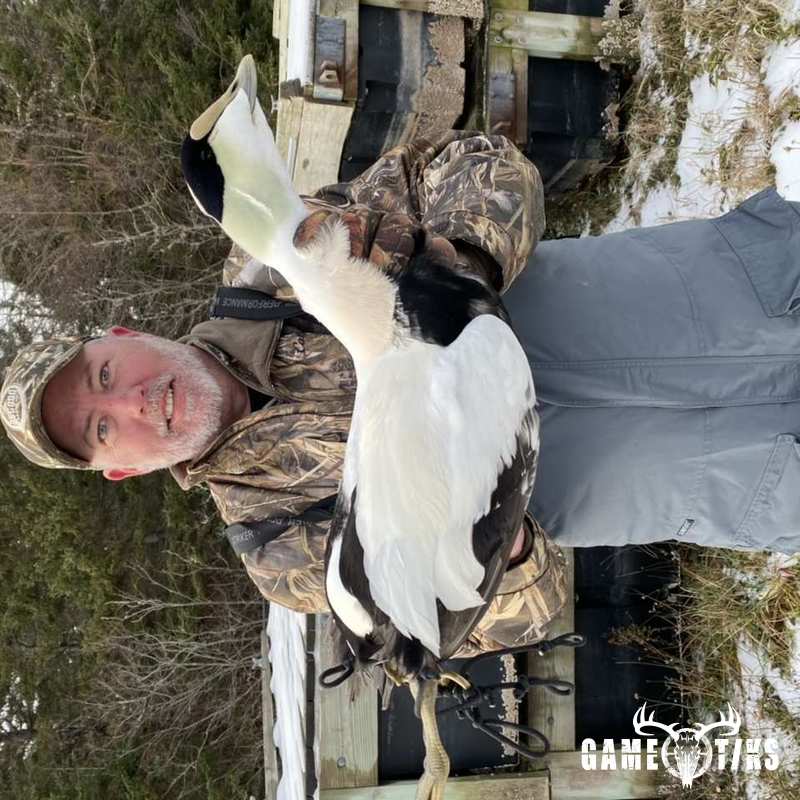 waterfowl harvest by Bold Coast Outfitters