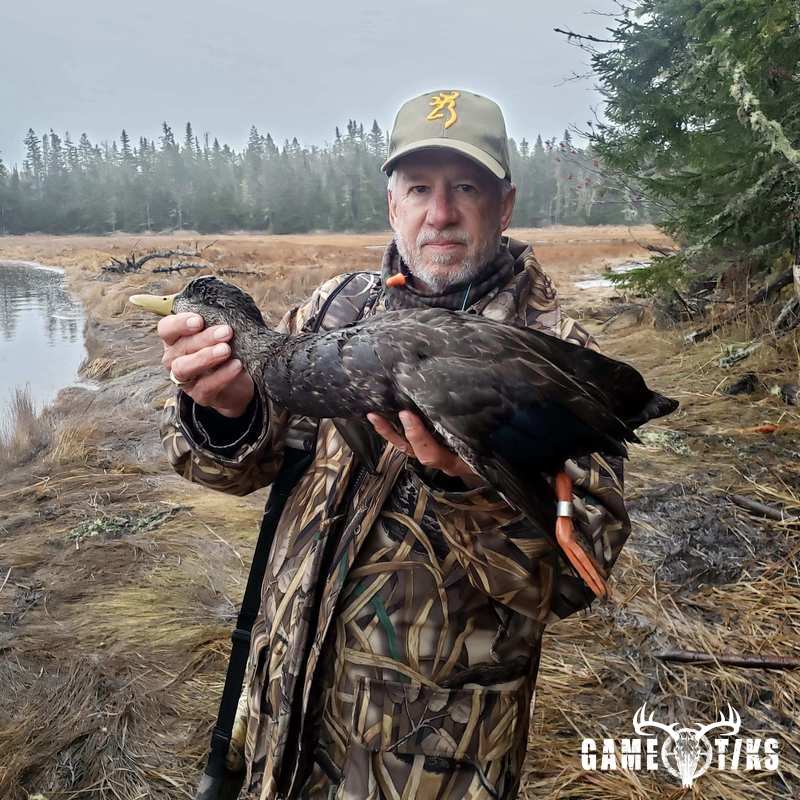 waterfowl harvest by Bold Coast Outfitters