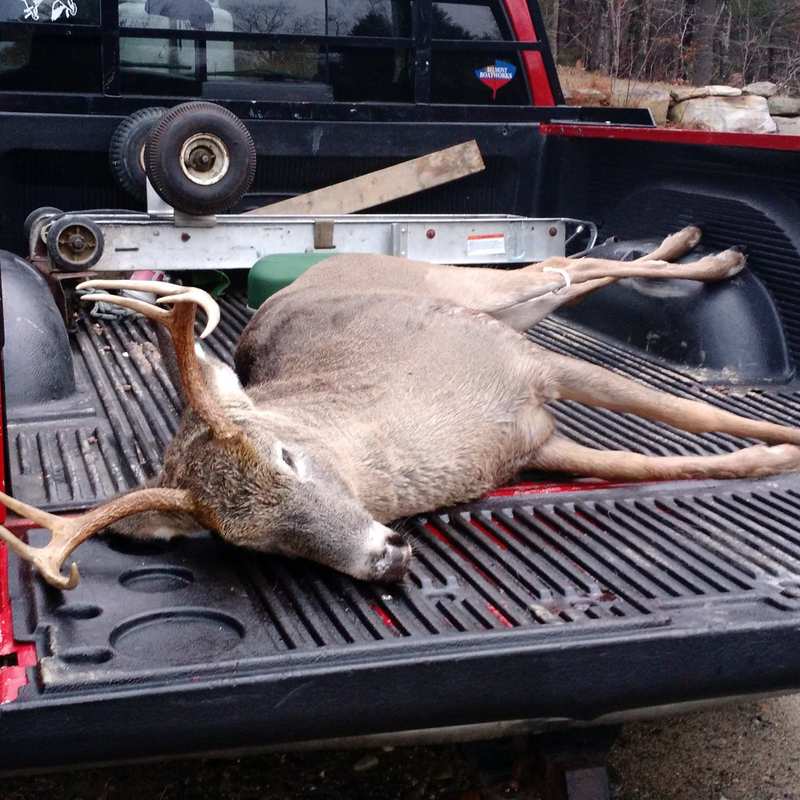 deer harvest by Sam Ray