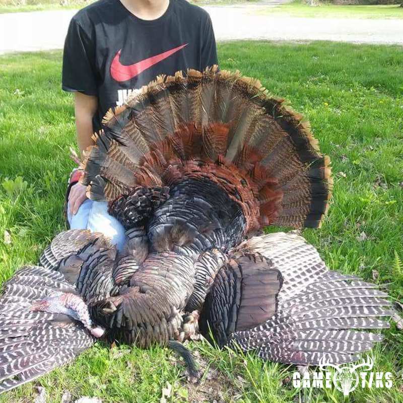 turkey harvest by James Pace
