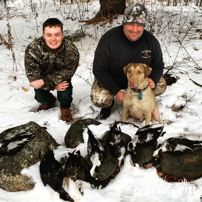waterfowl harvest by Maine Experience Guide Service