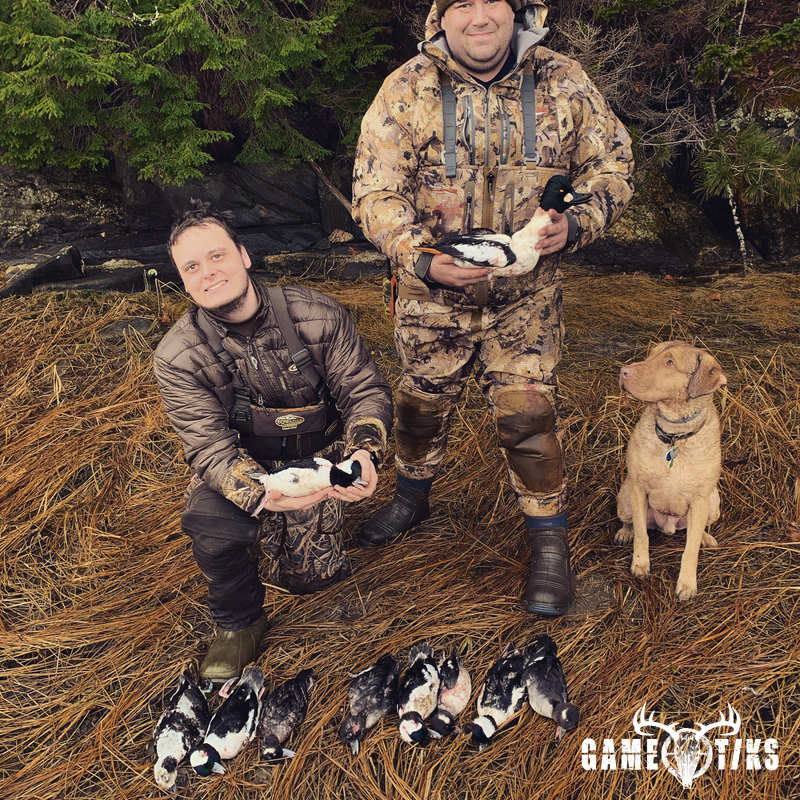 waterfowl harvest by Maine Experience Guide Service