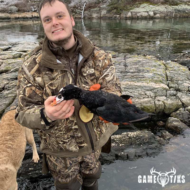 waterfowl harvest by Maine Experience Guide Service