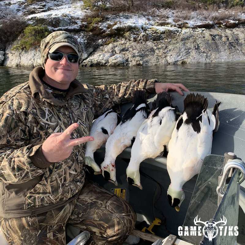 waterfowl harvest by Maine Experience Guide Service