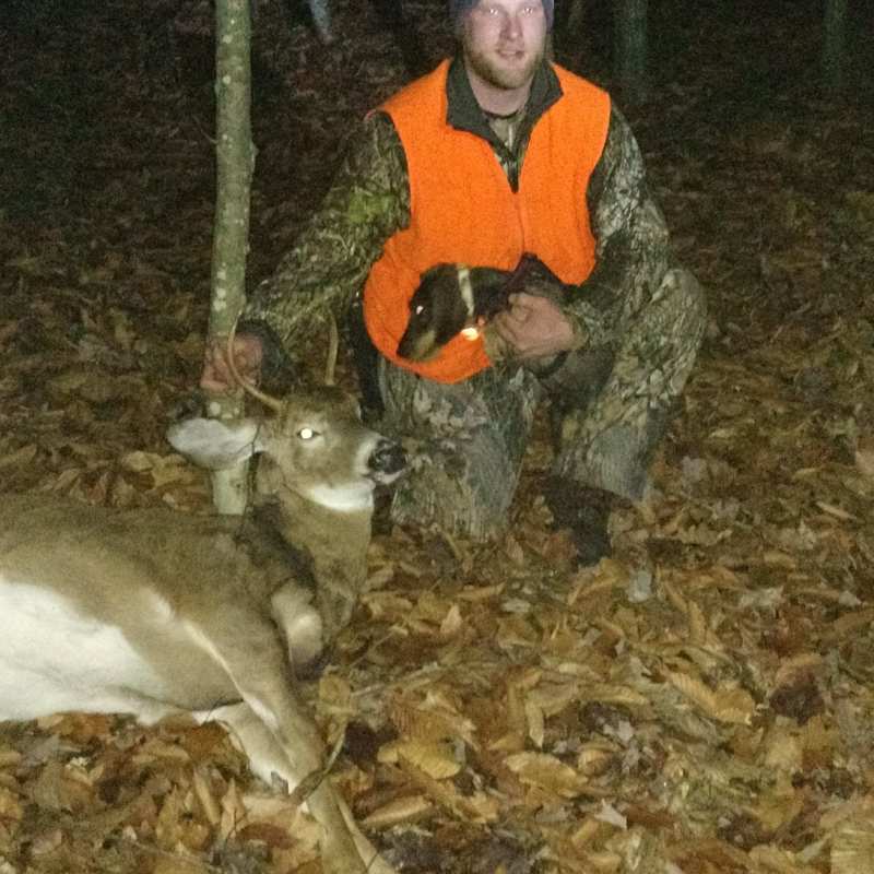deer harvest by Sam Ray