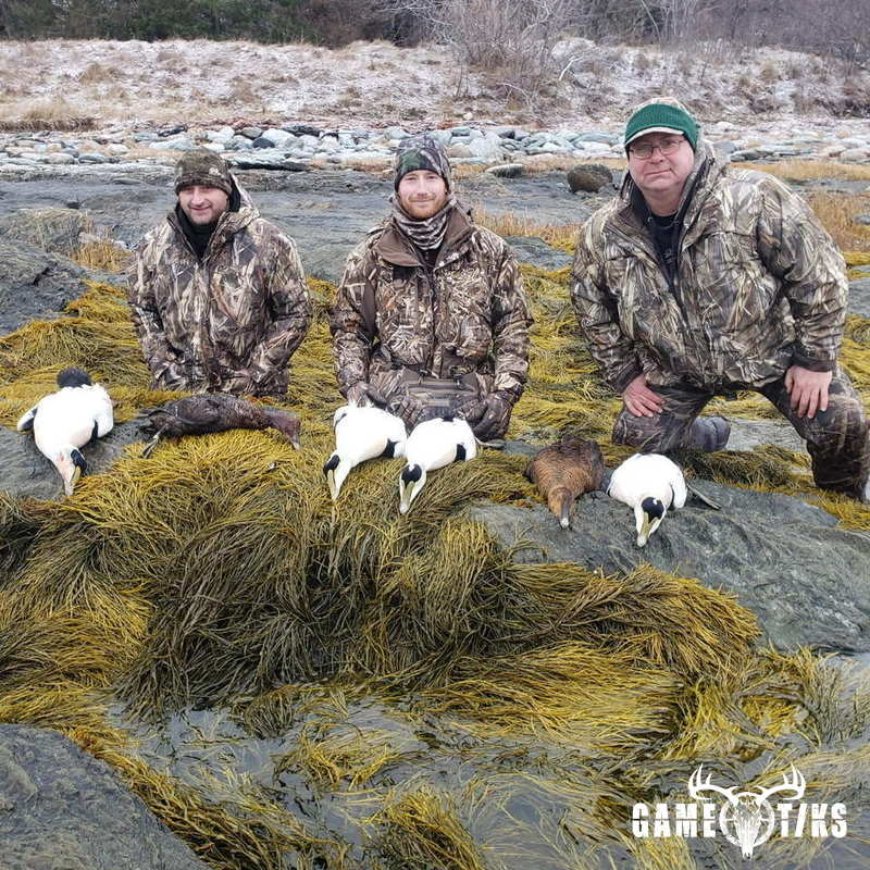waterfowl harvest by Bold Coast Outfitters