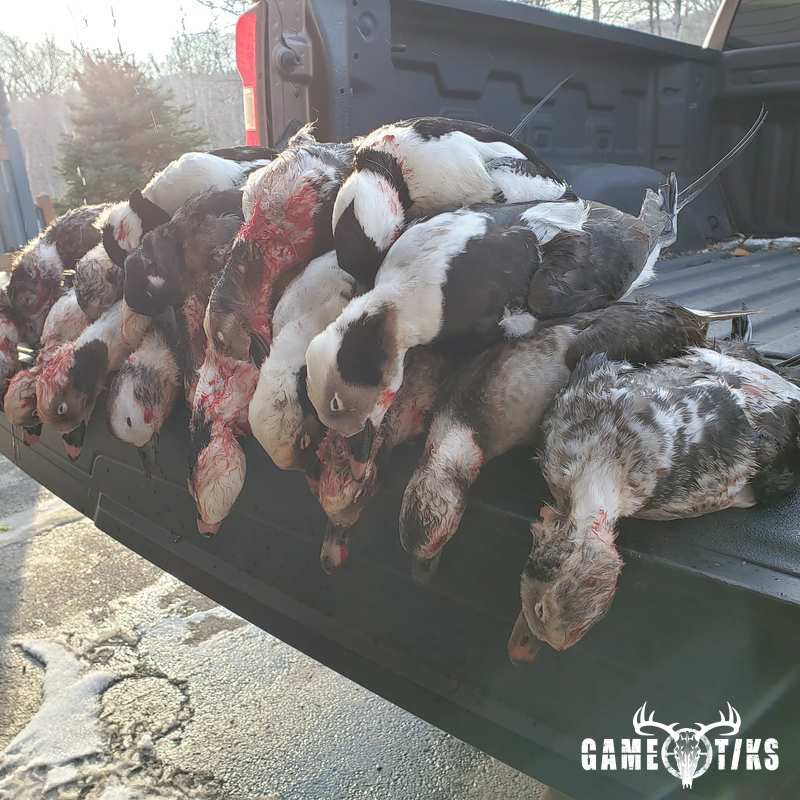 waterfowl harvest by Travis Spencer
