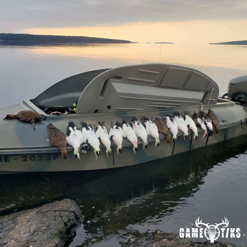 waterfowl harvest by Marsh River Outfitters