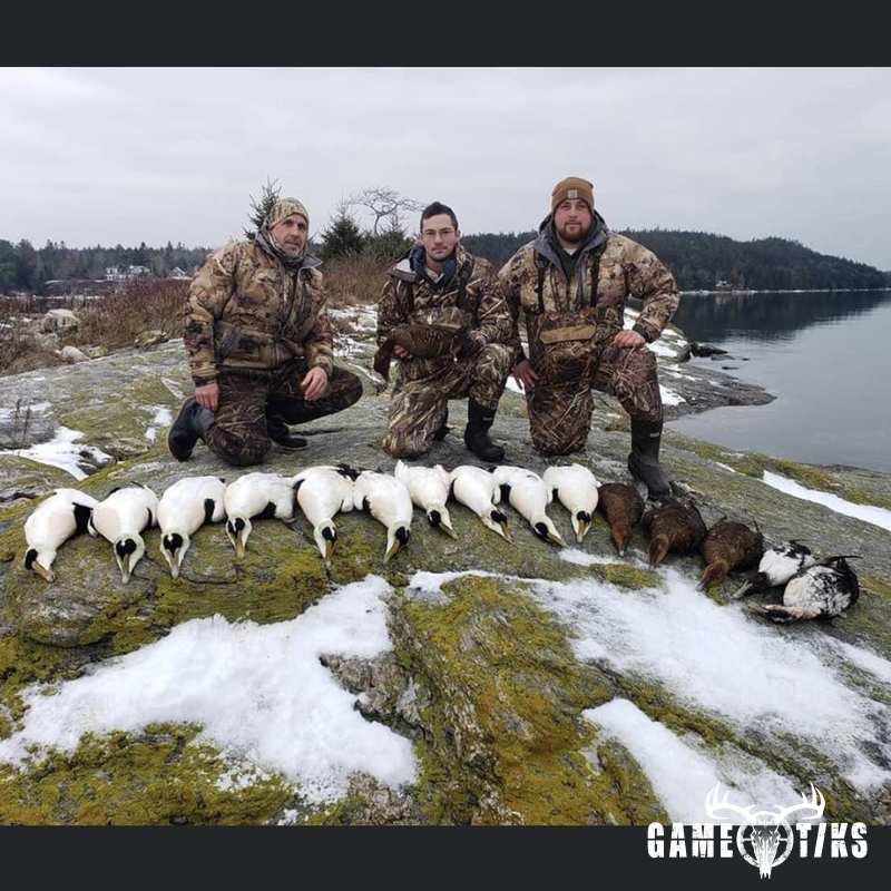 waterfowl harvest by Marsh River Outfitters