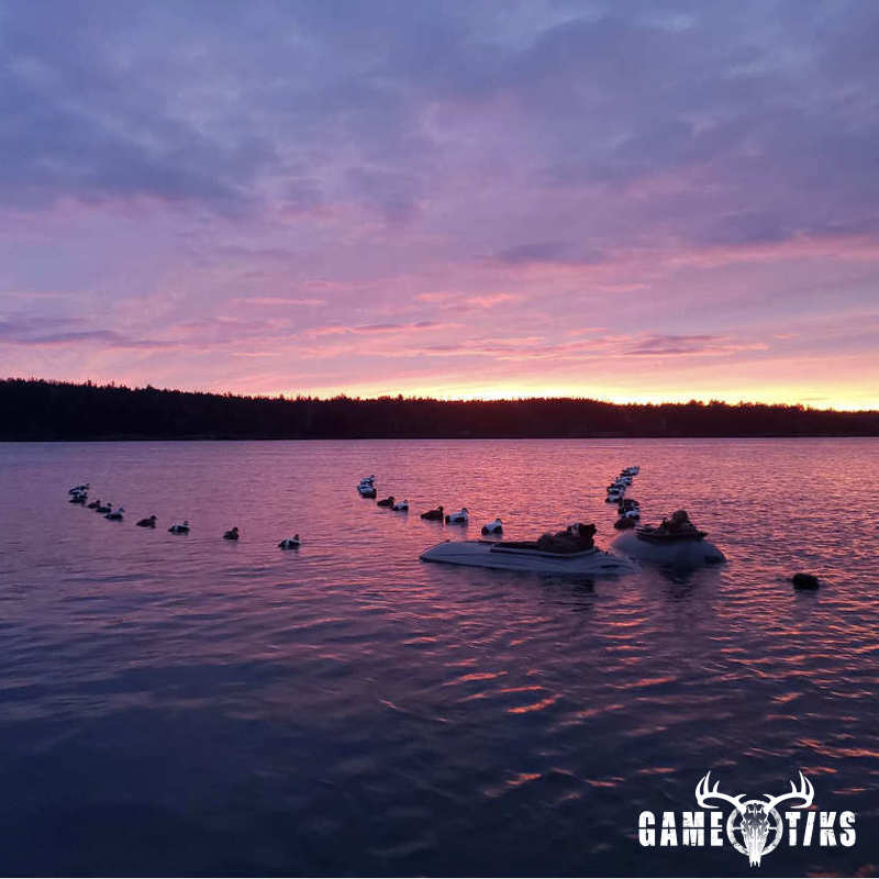 waterfowl harvest by Marsh River Outfitters