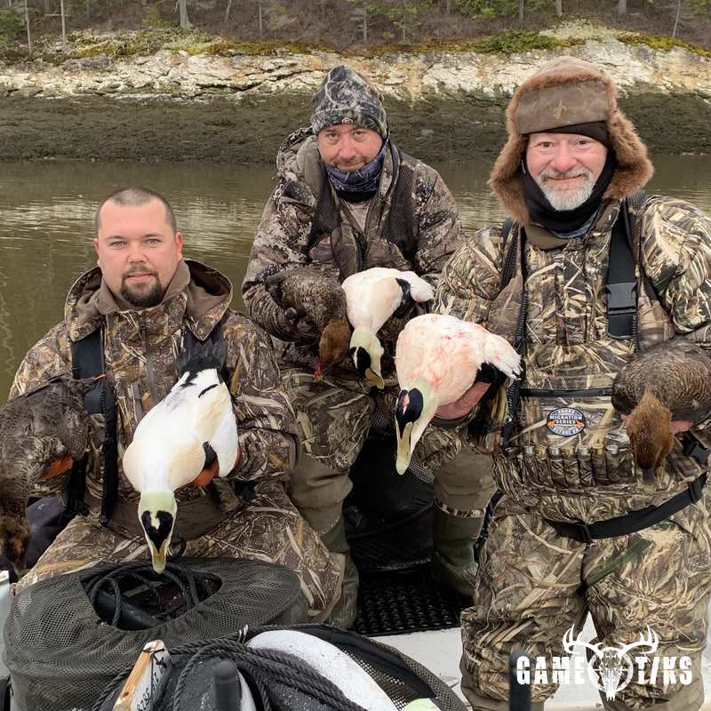 waterfowl harvest by Maine Experience Guide Service