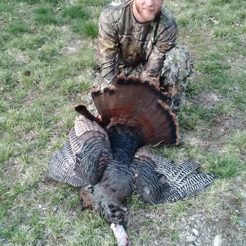 turkey harvest by Sam Ray