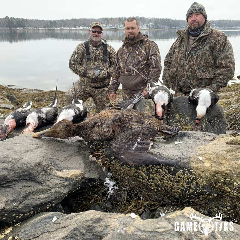 waterfowl harvest by Maine Experience Guide Service