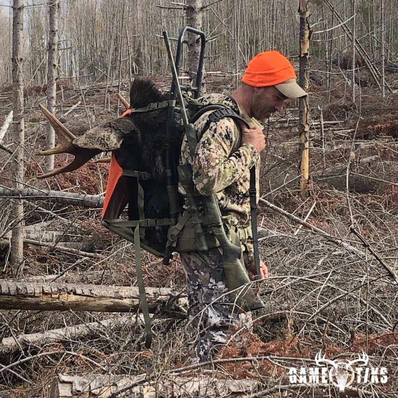 moose harvest by Marsh River Outfitters