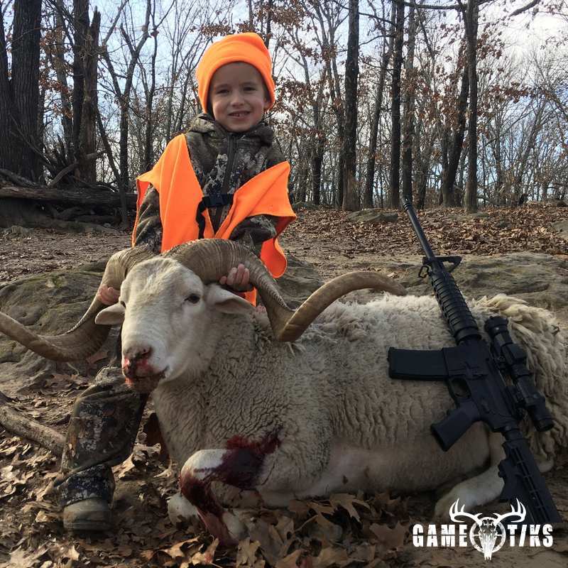 bovid harvest by Black Mountain Hunts LLC