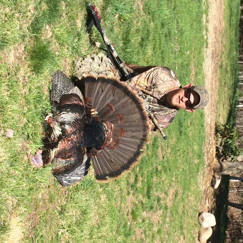 turkey harvest by Sam Ray