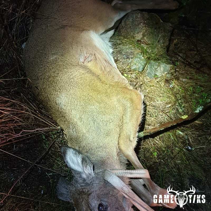 deer harvest by Isto Ojala