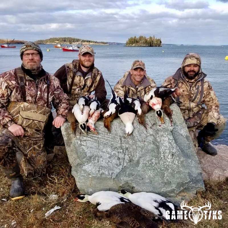 waterfowl harvest by Bold Coast Outfitters