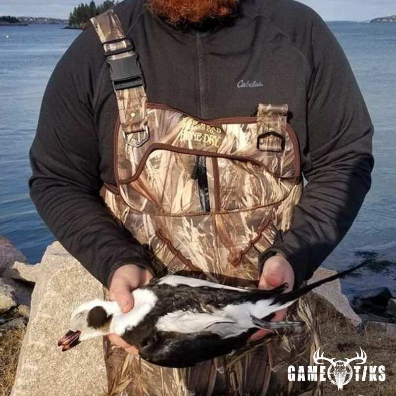 waterfowl harvest by Bold Coast Outfitters