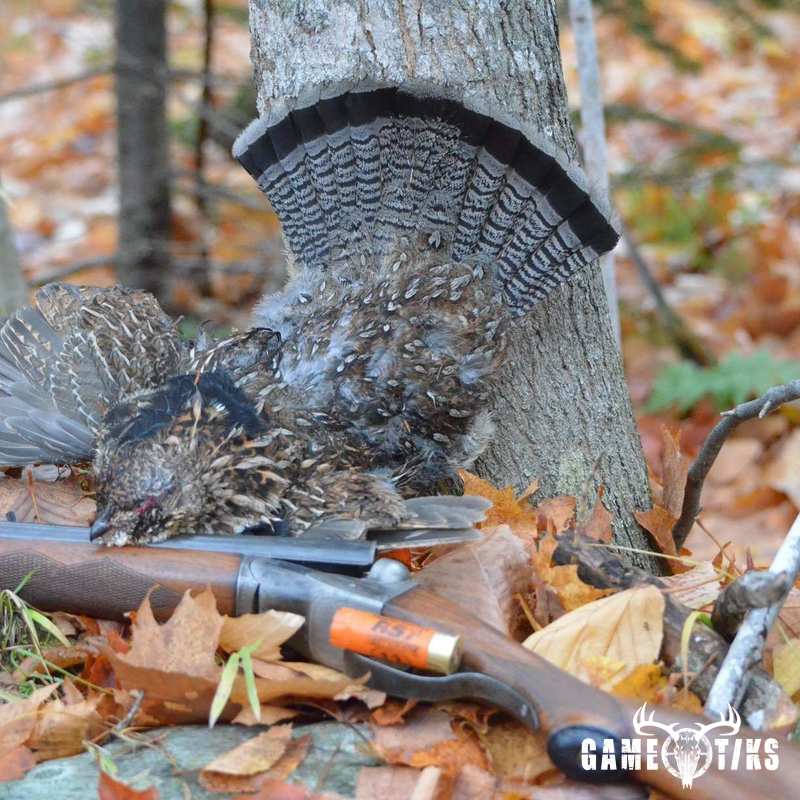 upland_bird harvest by Troy Fields, Traditions Guide Service