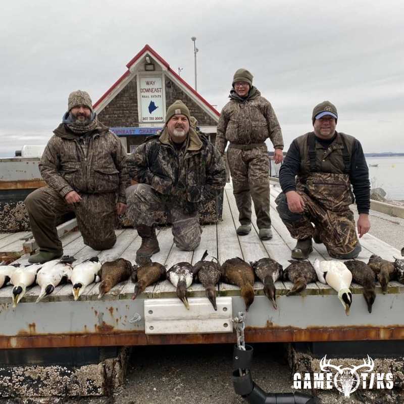 waterfowl harvest by Bold Coast Outfitters