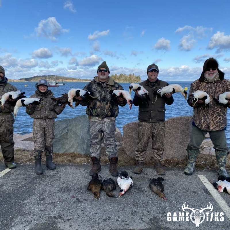 waterfowl harvest by Bold Coast Outfitters