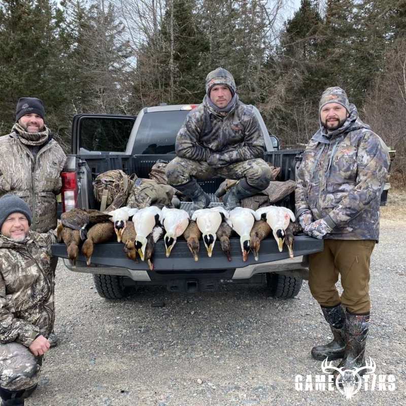 waterfowl harvest by Bold Coast Outfitters