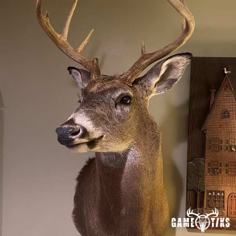 deer harvest by John Gibbs