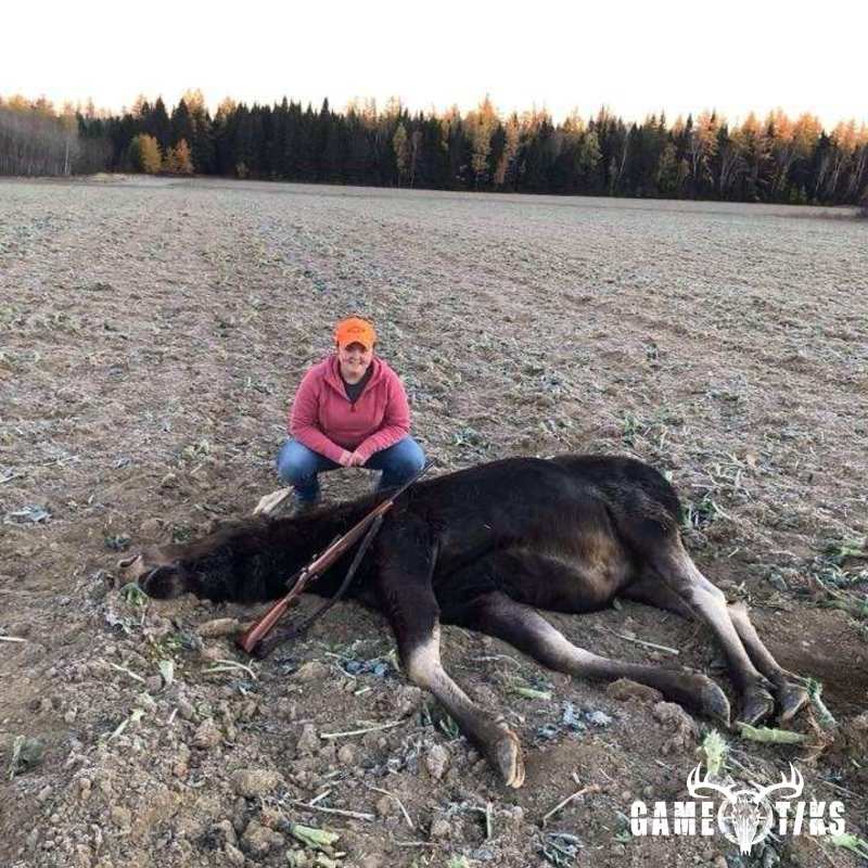 moose harvest by Kimberly Crommett