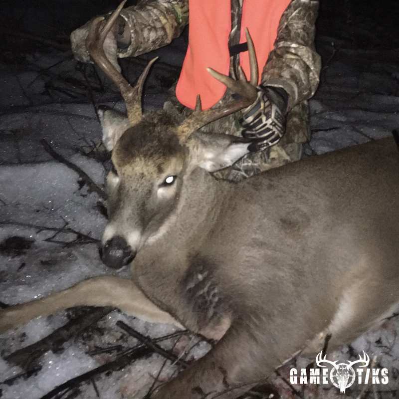 deer