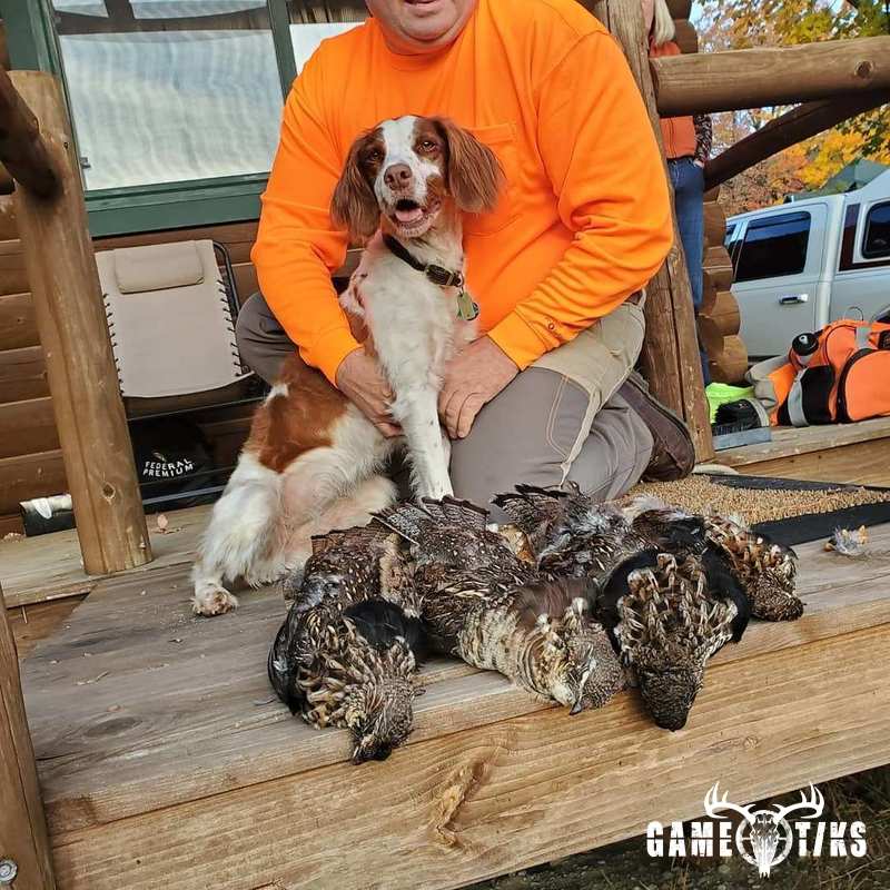upland_bird harvest by Reddog Guide Service