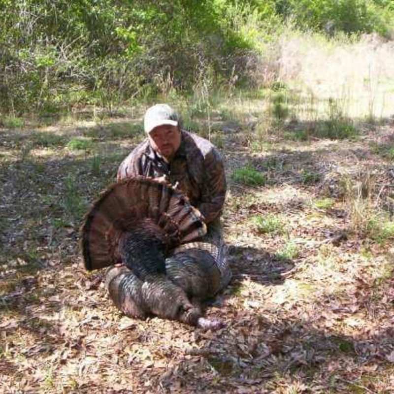turkey harvest by Leo Hingley jr