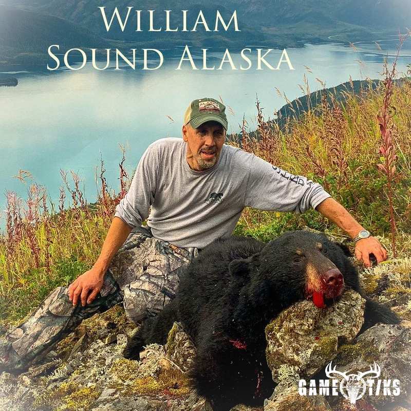 bear harvest by Robb Scott