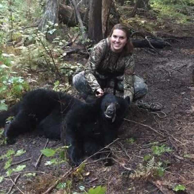 bear harvest by Isabelle Lozier